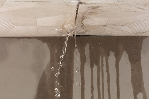 Professional Water Extraction technician working in Sterling, VA
